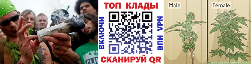 Как найти наркотики Беломорск ГАШИШ  Амфетамин  Меф  Cocaine 