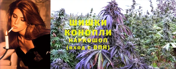 прущая мука Каменка